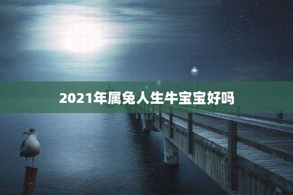 2021年属兔人生牛宝宝好吗