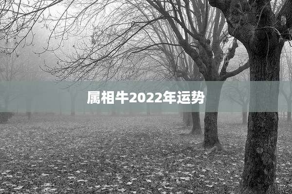 属相牛2022年运势