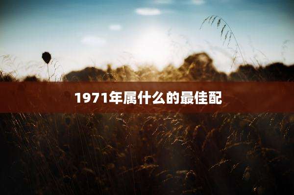 1971年属什么的最佳配