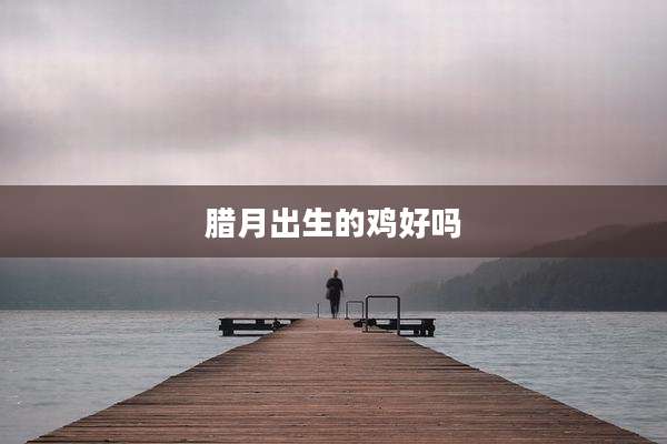 腊月出生的鸡好吗