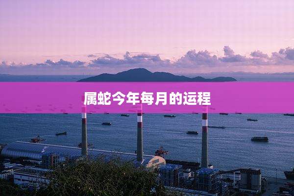 属蛇今年每月的运程