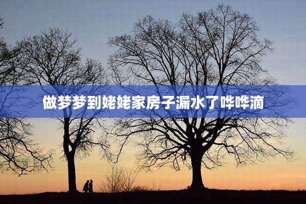 做梦梦到姥姥家房子漏水了哗哗滴