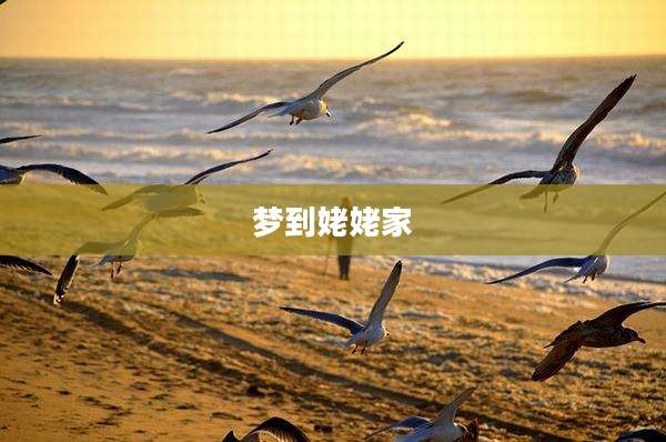 梦到姥姥家