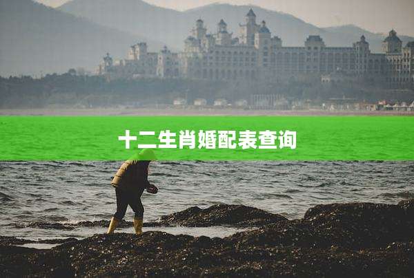 十二生肖婚配表查询