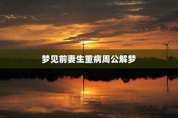 梦见前妻生重病周公解梦