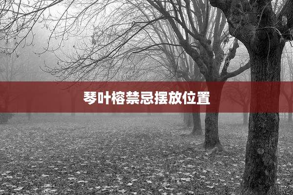 琴叶榕禁忌摆放位置
