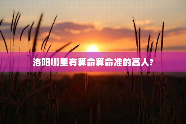 洛阳哪里有算命算命准的高人?