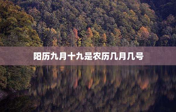 阳历九月十九是农历几月几号