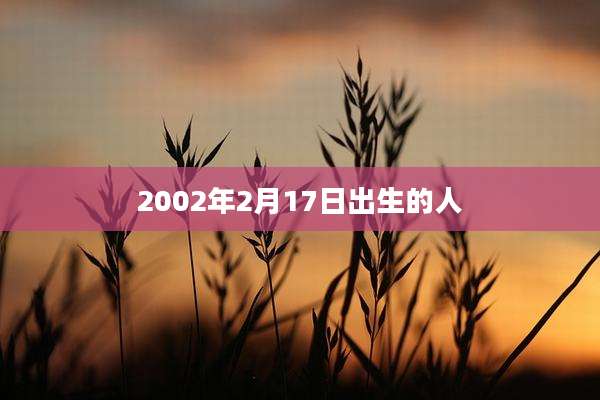 2002年2月17日出生的人