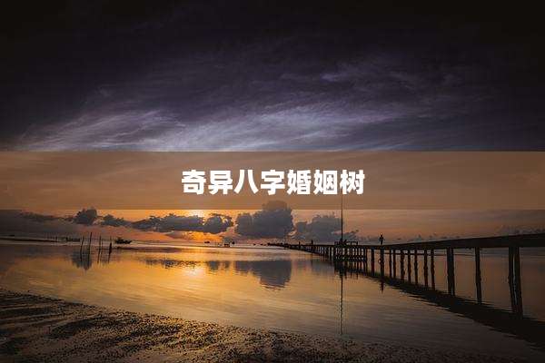 奇异八字婚姻树