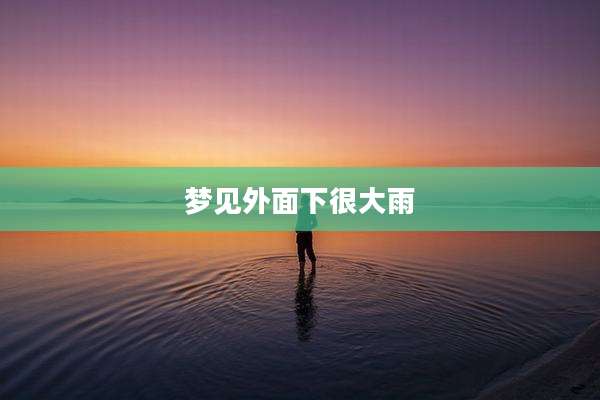 梦见外面下很大雨