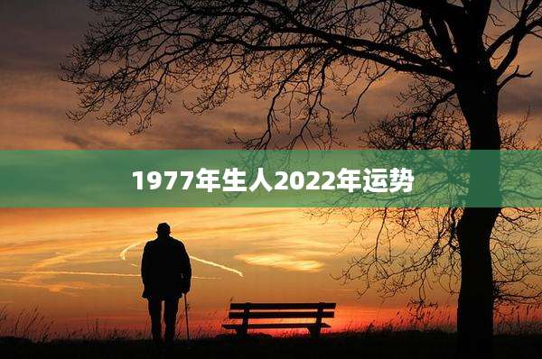 1977年生人2022年运势
