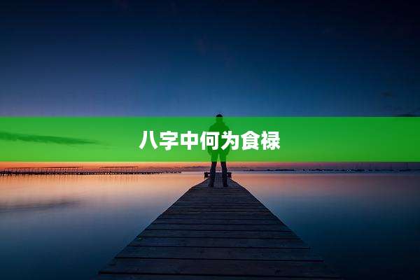 八字中何为食禄