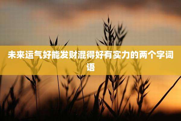 未来运气好能发财混得好有实力的两个字词语