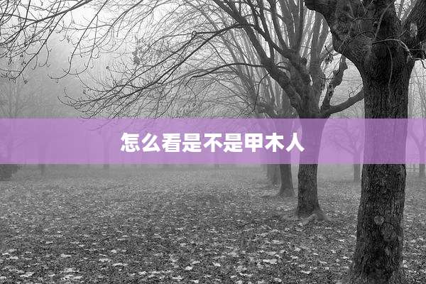 怎么看是不是甲木人