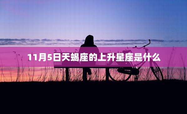 11月5日天蝎座的上升星座是什么