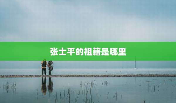 张士平的祖籍是哪里