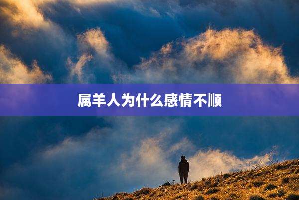 属羊人为什么感情不顺