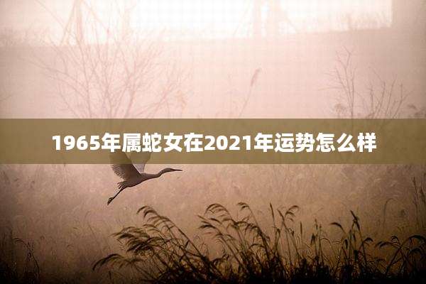1965年属蛇女在2021年运势怎么样