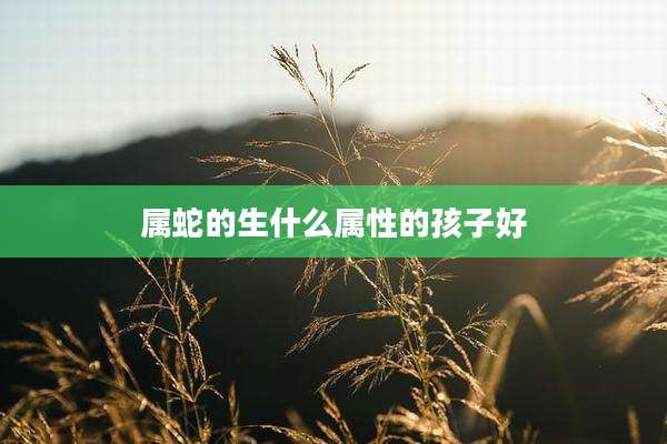 属蛇的生什么属性的孩子好