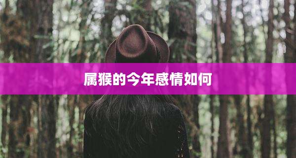 属猴的今年感情如何
