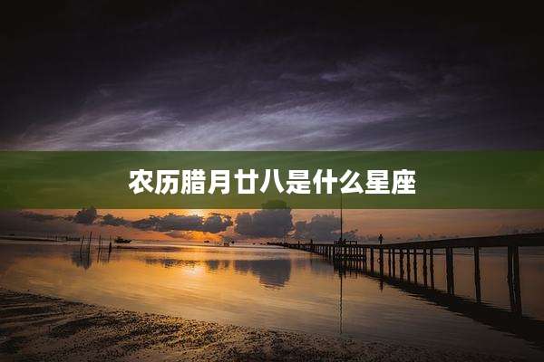 农历腊月廿八是什么星座