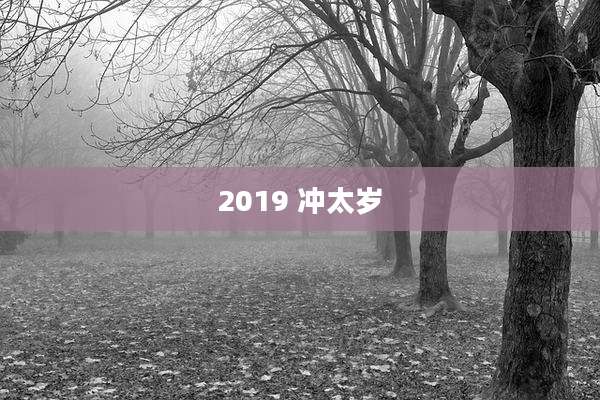 2019 冲太岁