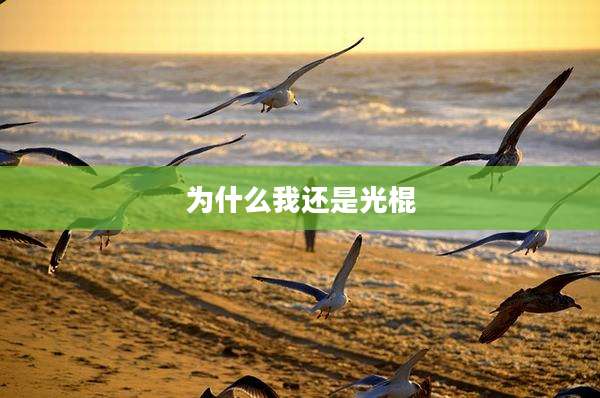 为什么我还是光棍