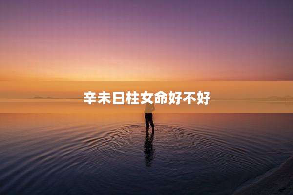 辛未日柱女命好不好