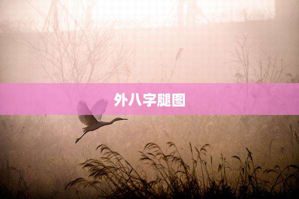 外八字腿图