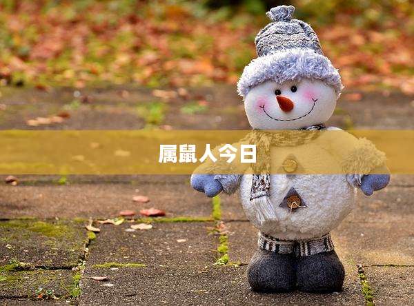 属鼠人今日