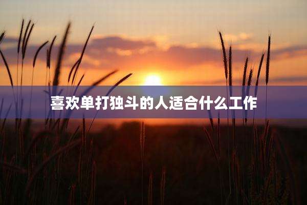 喜欢单打独斗的人适合什么工作
