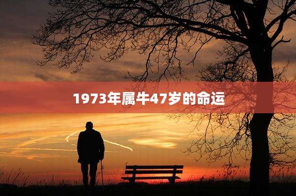 1973年属牛47岁的命运
