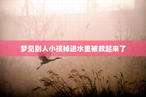 梦见别人小孩掉进水里被救起来了