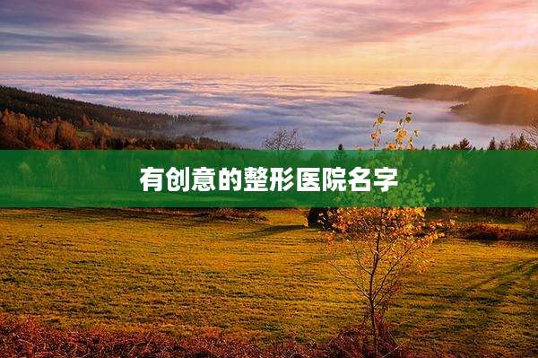 有创意的整形医院名字