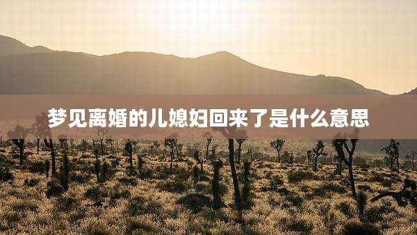 梦见离婚的儿媳妇回来了是什么意思