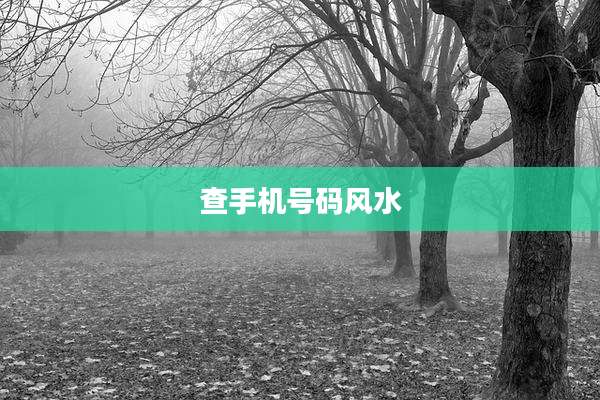 查手机号码风水