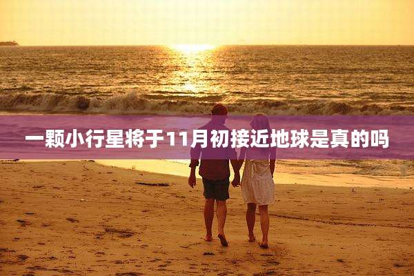一颗小行星将于11月初接近地球是真的吗