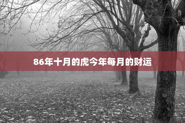 86年十月的虎今年每月的财运