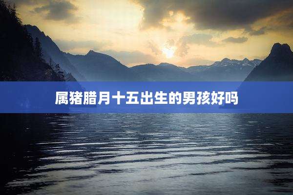 属猪腊月十五出生的男孩好吗