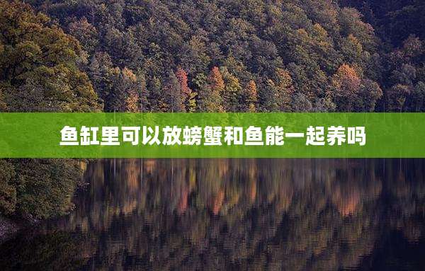 鱼缸里可以放螃蟹和鱼能一起养吗