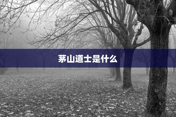 茅山道士是什么