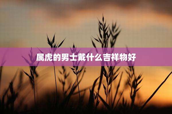 属虎的男士戴什么吉祥物好