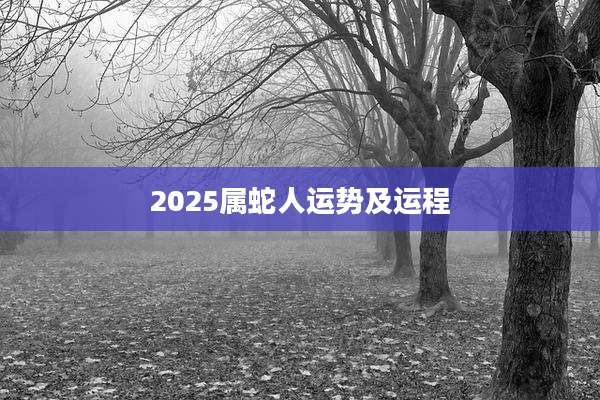 2025属蛇人运势及运程