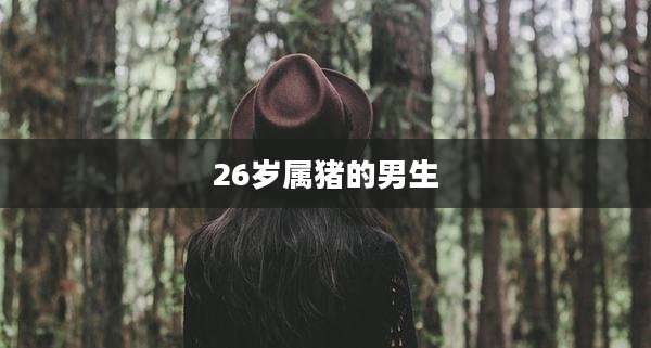 26岁属猪的男生