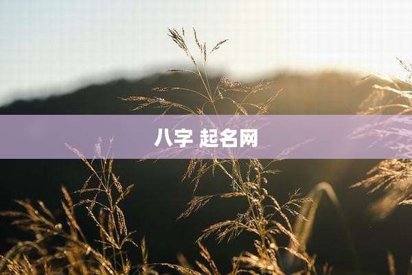 八字 起名网