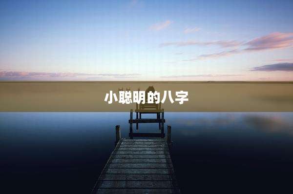小聪明的八字