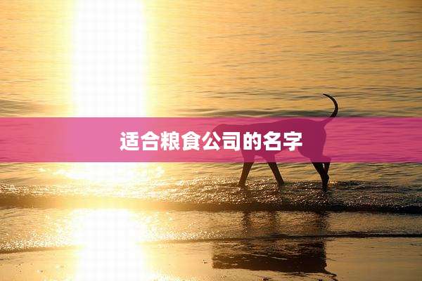 适合粮食公司的名字