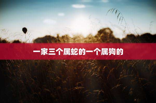 一家三个属蛇的一个属狗的