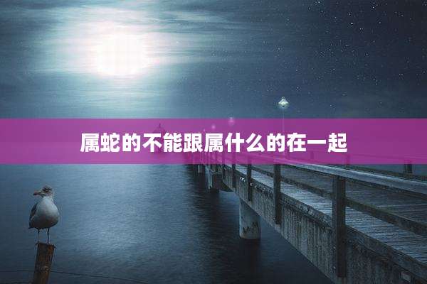 属蛇的不能跟属什么的在一起